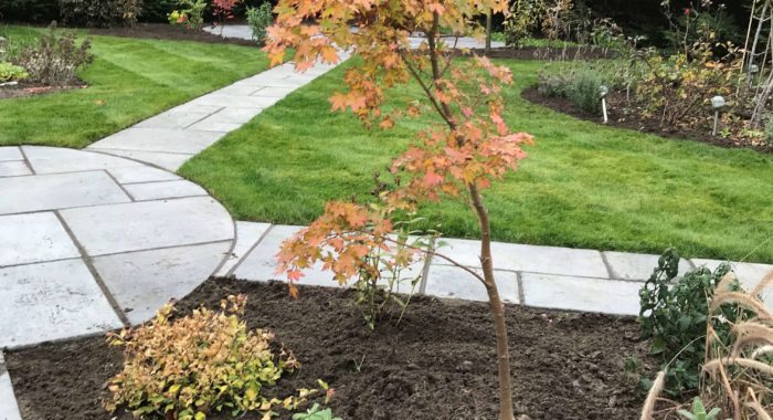 English Gardening Services